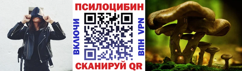 Псилоцибиновые грибы ЛСД  закладка  блэк спрут ССЫЛКА  Ртищево 