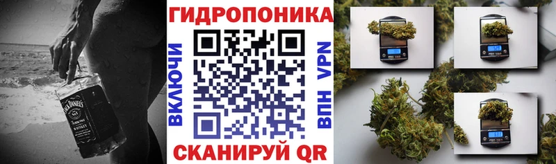 Шишки марихуана SATIVA & INDICA  Ртищево 